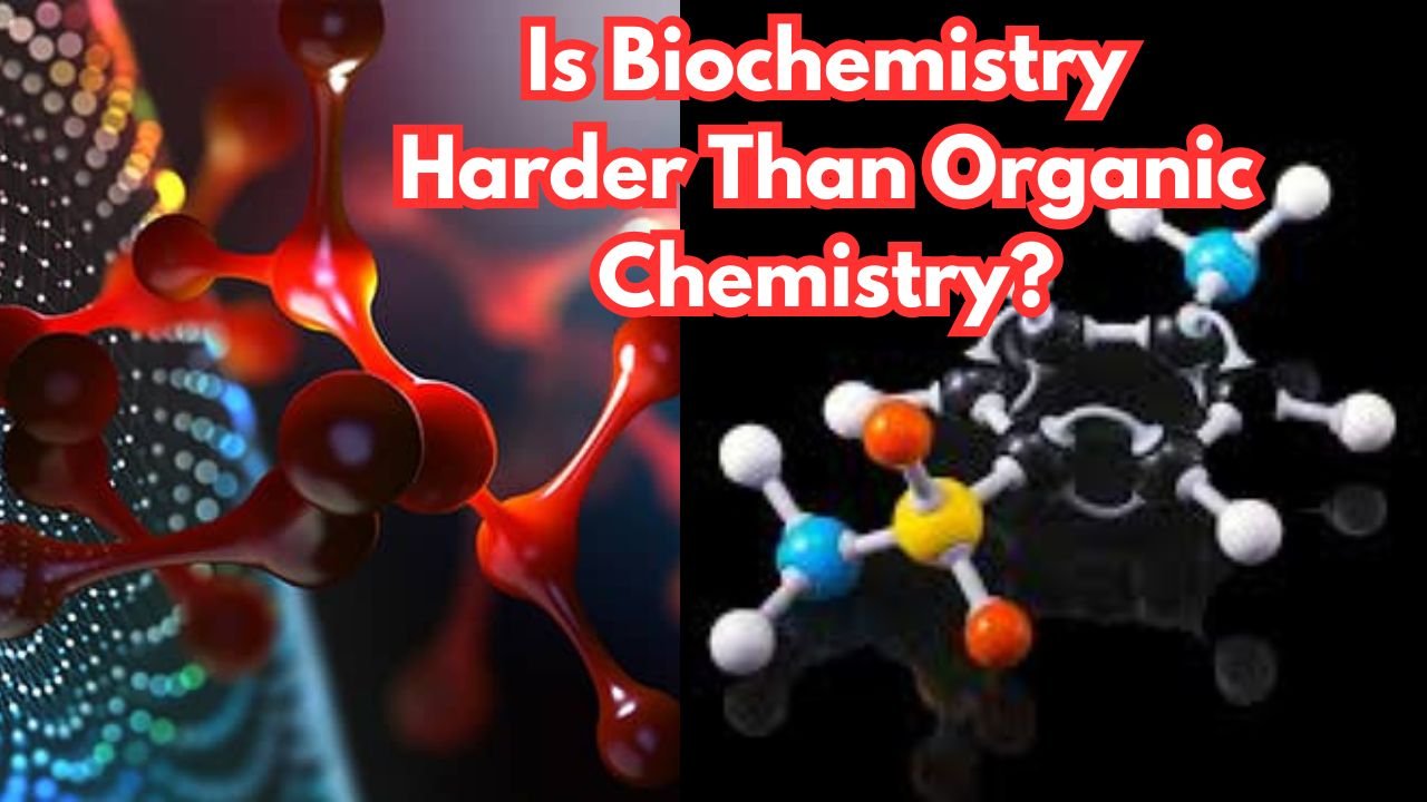 Is Biochemistry Harder Than Organic Chemistry